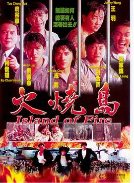 【动作片】火烧岛1991